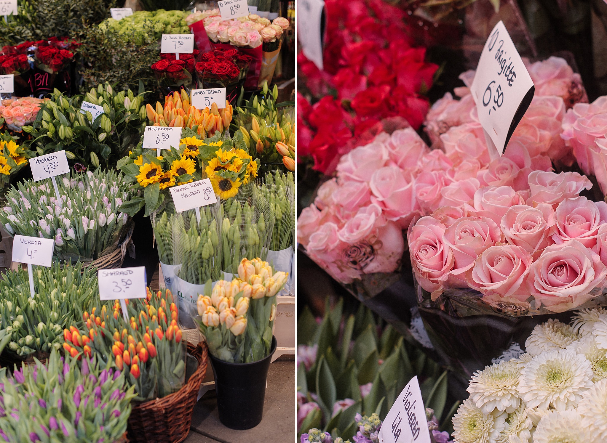 Flower market Amsterdam, also called the Bloemenmarkt