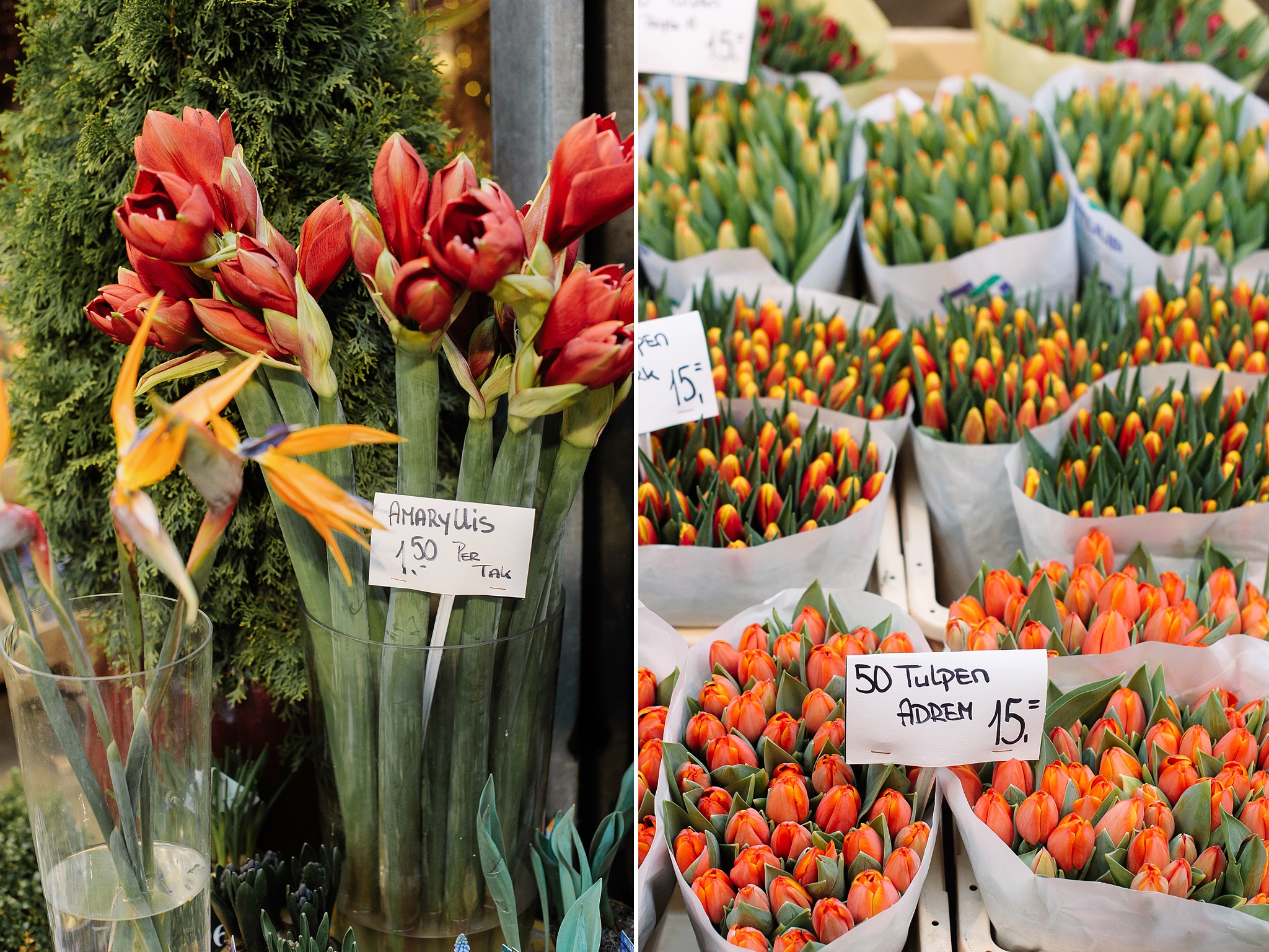 Flower market Amsterdam