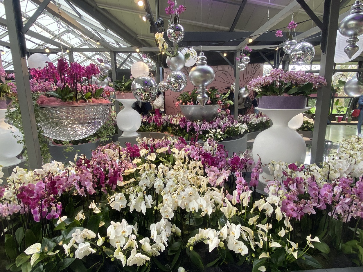 Keukenhof flower shows 2025