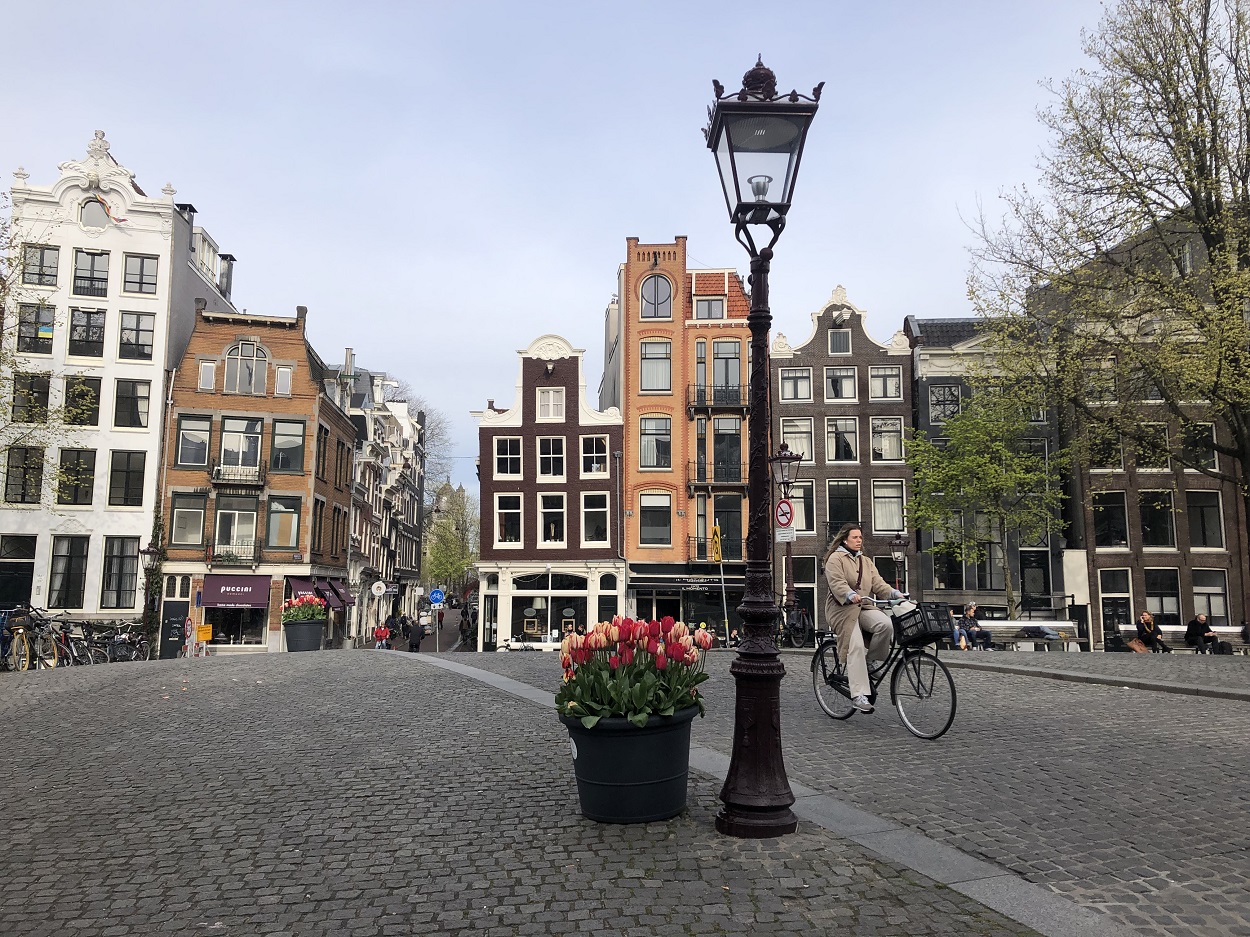 Tulips in Amsterdam, best time to see