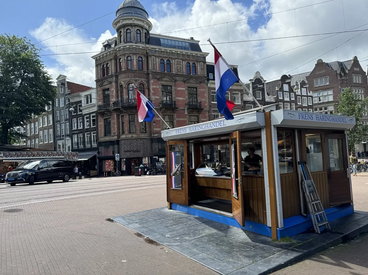 Herring in Amsterdam