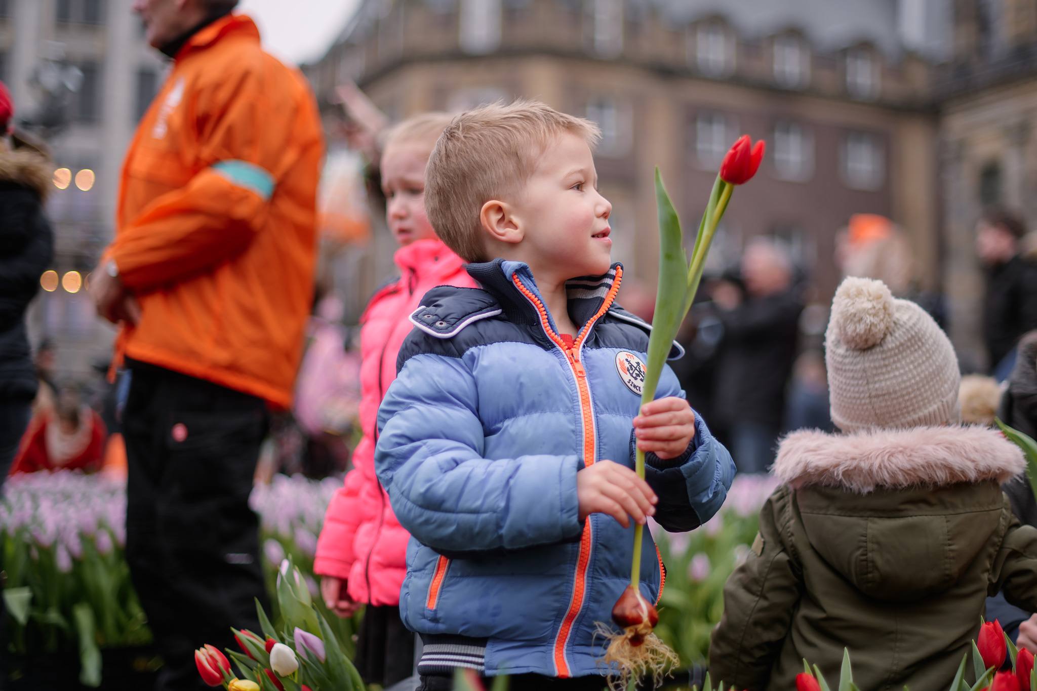 National tulip day Amsterdam