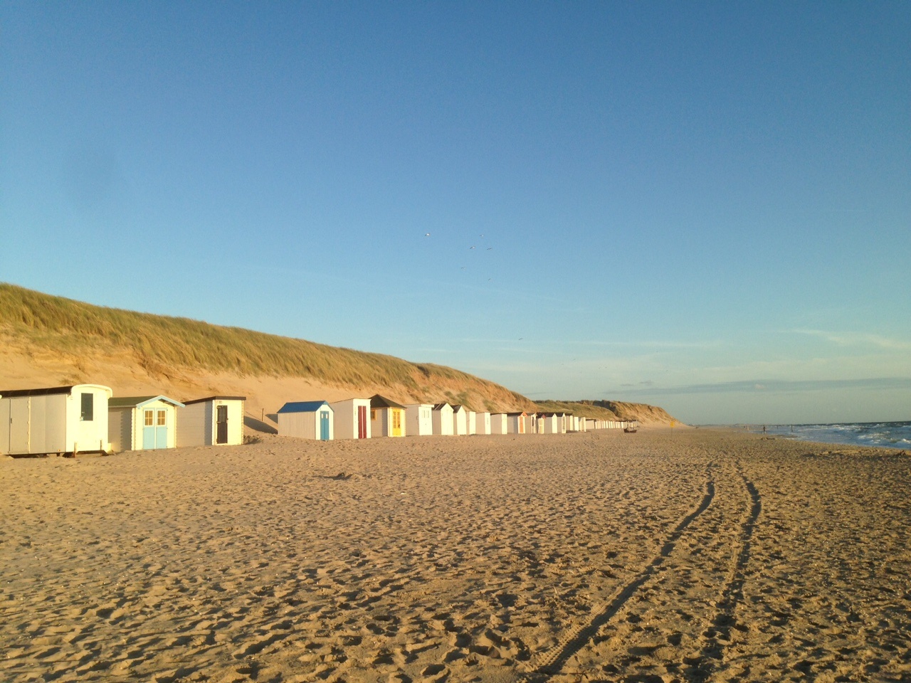 Texel island the Netherlands