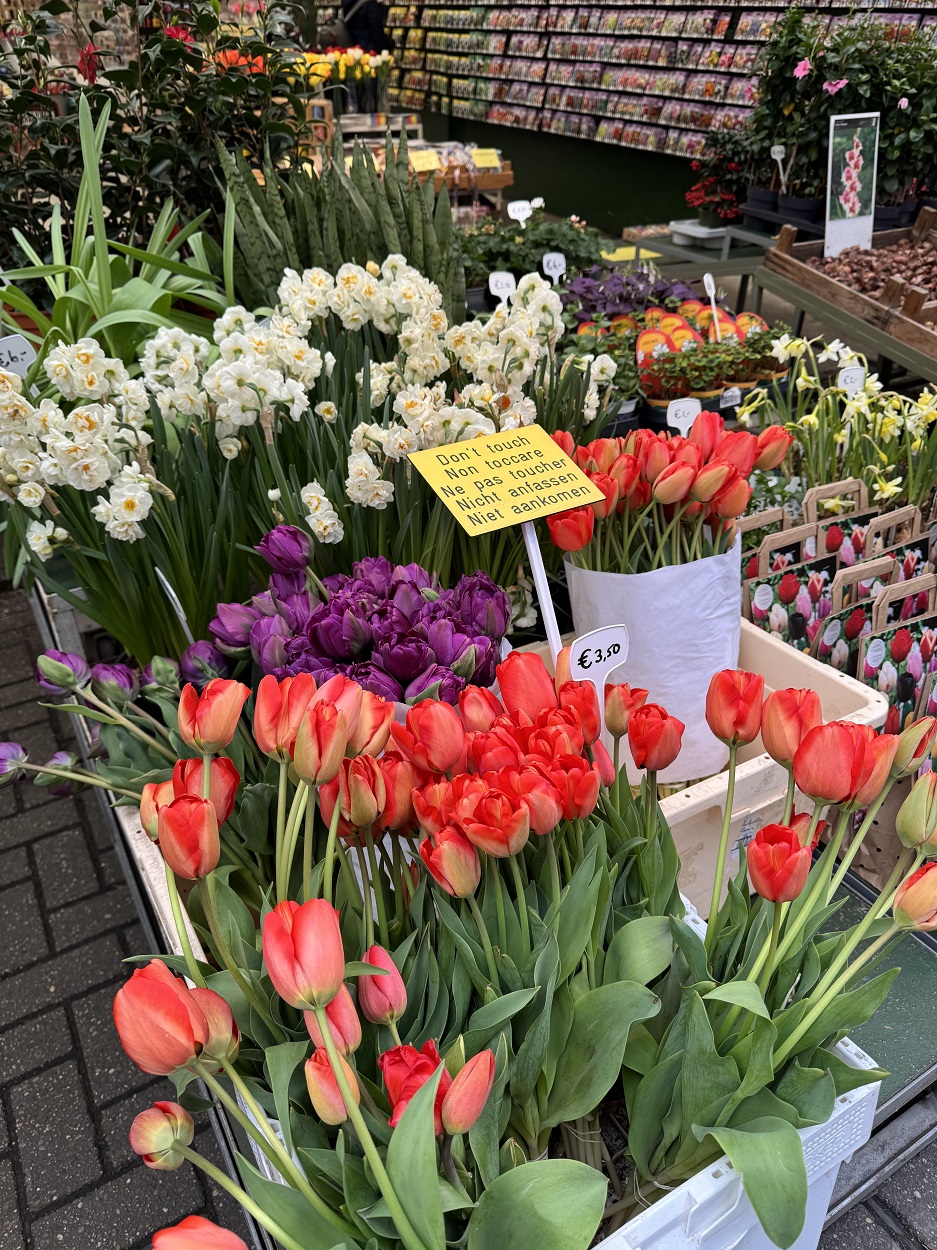 Flower market in Amsterdam