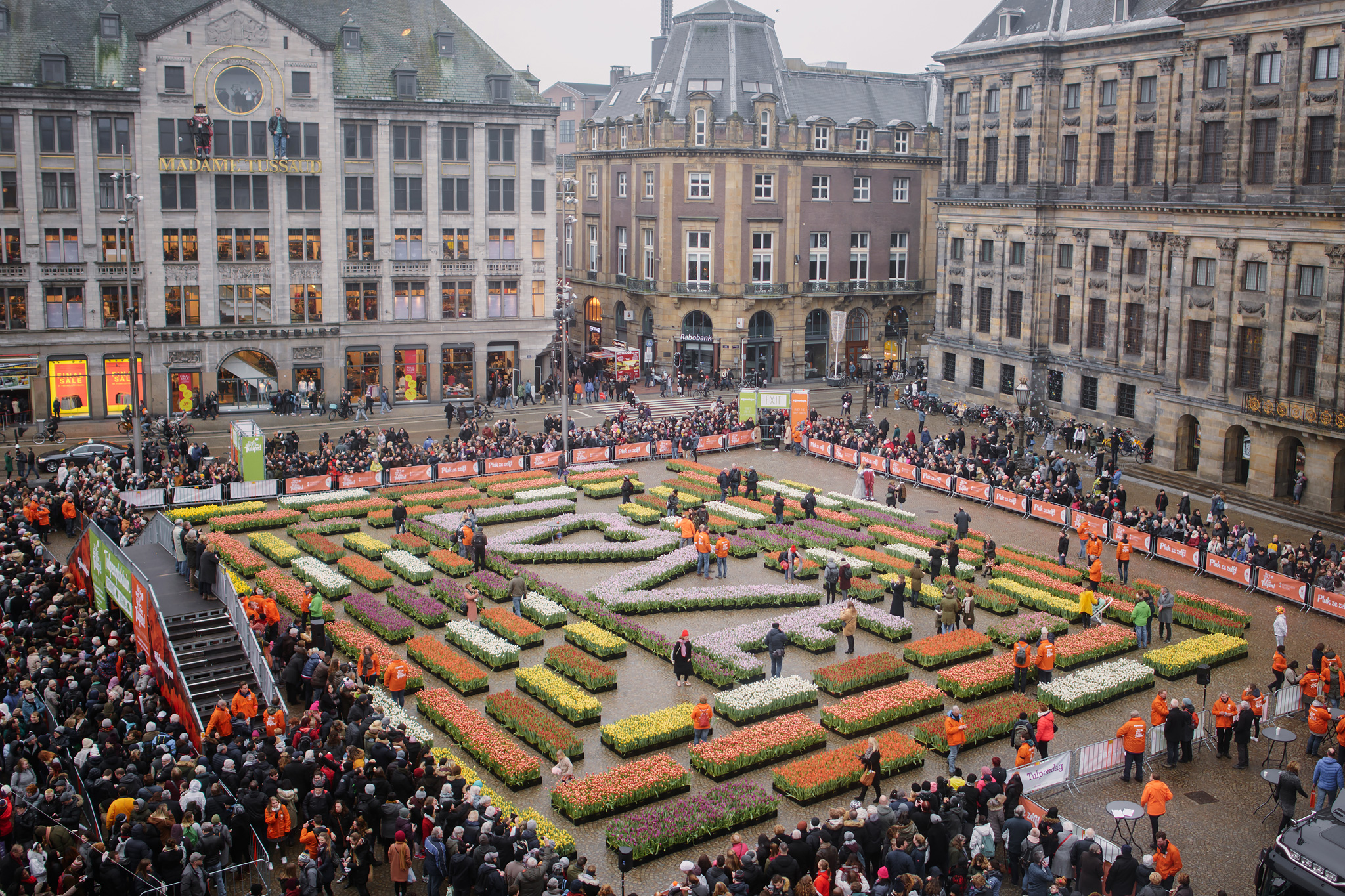 National tulip day Amsterdam 2026