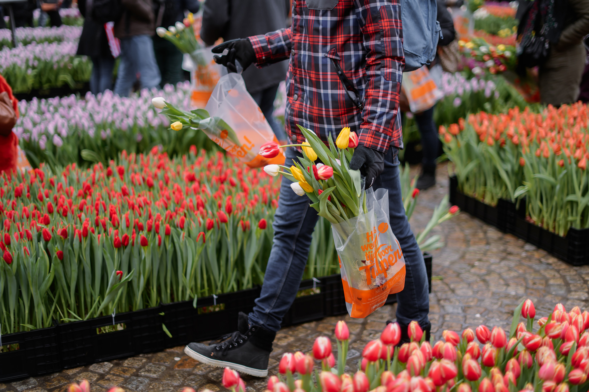 Tulip day 2026 in Amsterdam
