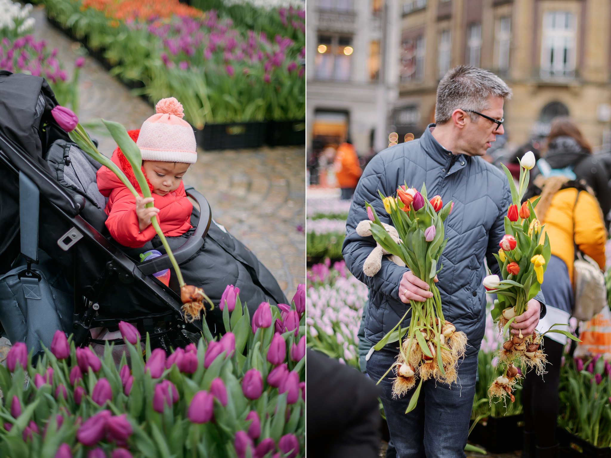 National tulip Day, Dam square Amsterdam