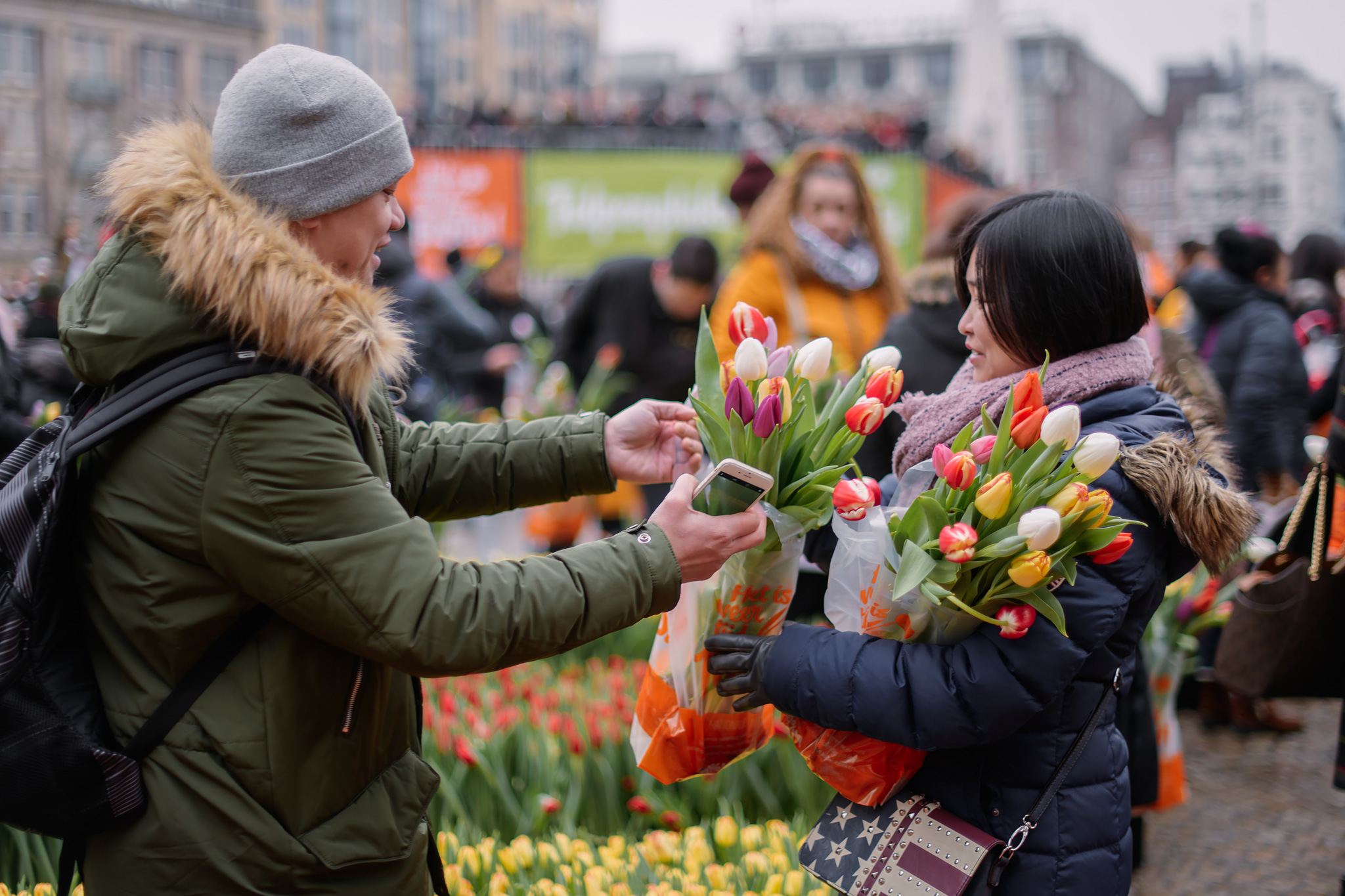 Tulip festival in Amsterdam