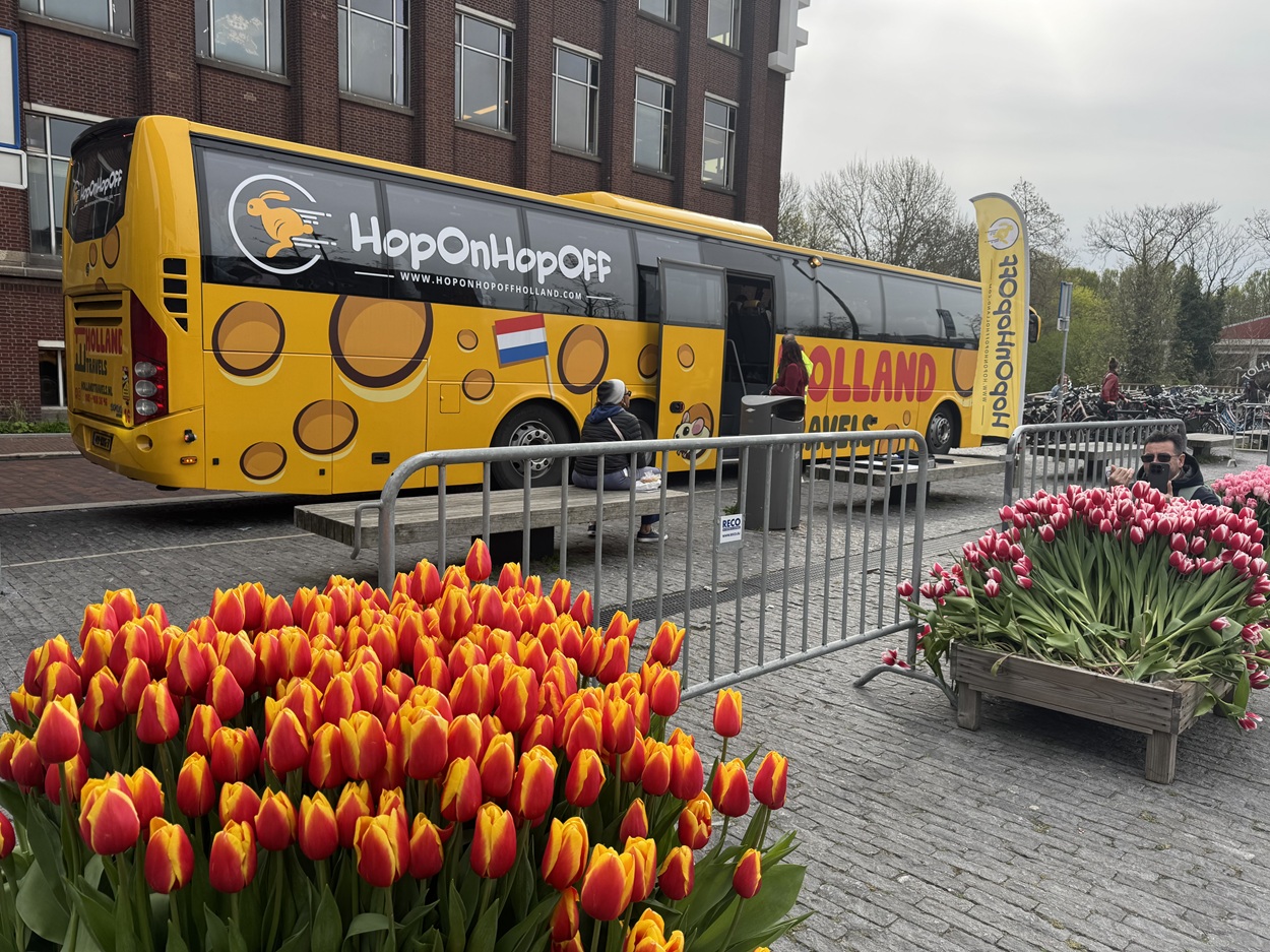 Hop on Hop off Keukenhof bus from Amsterdam