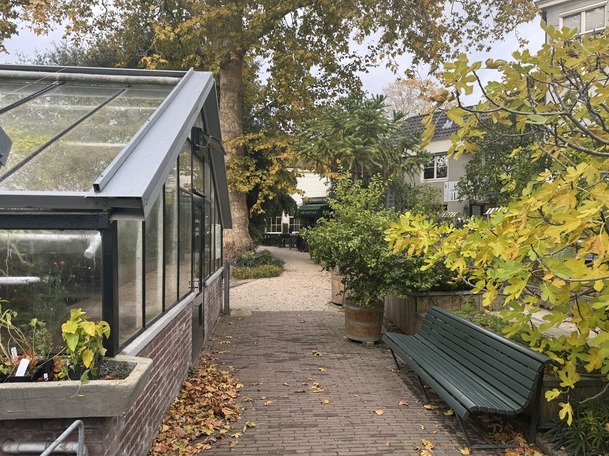 Hortus Botanicus: my favourite green escape in Amsterdam