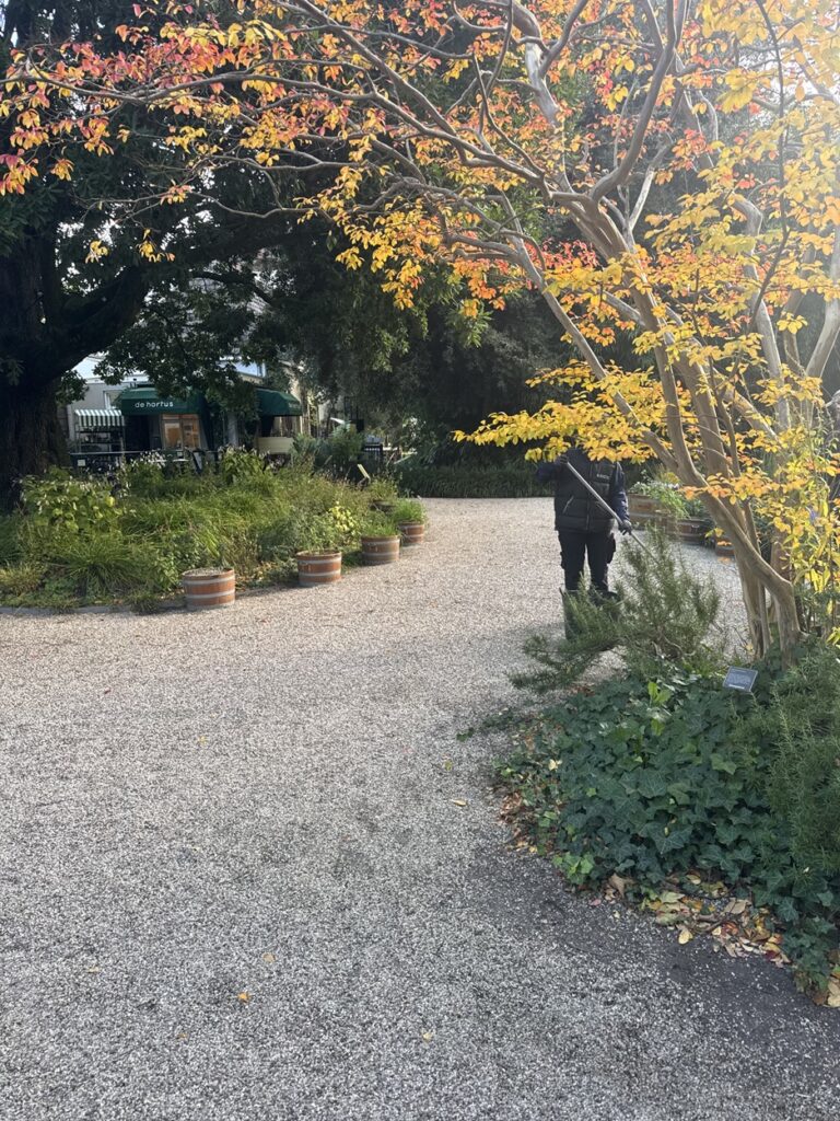 Autumn colours in the garden of the Hortus Botanicus Amsterdam