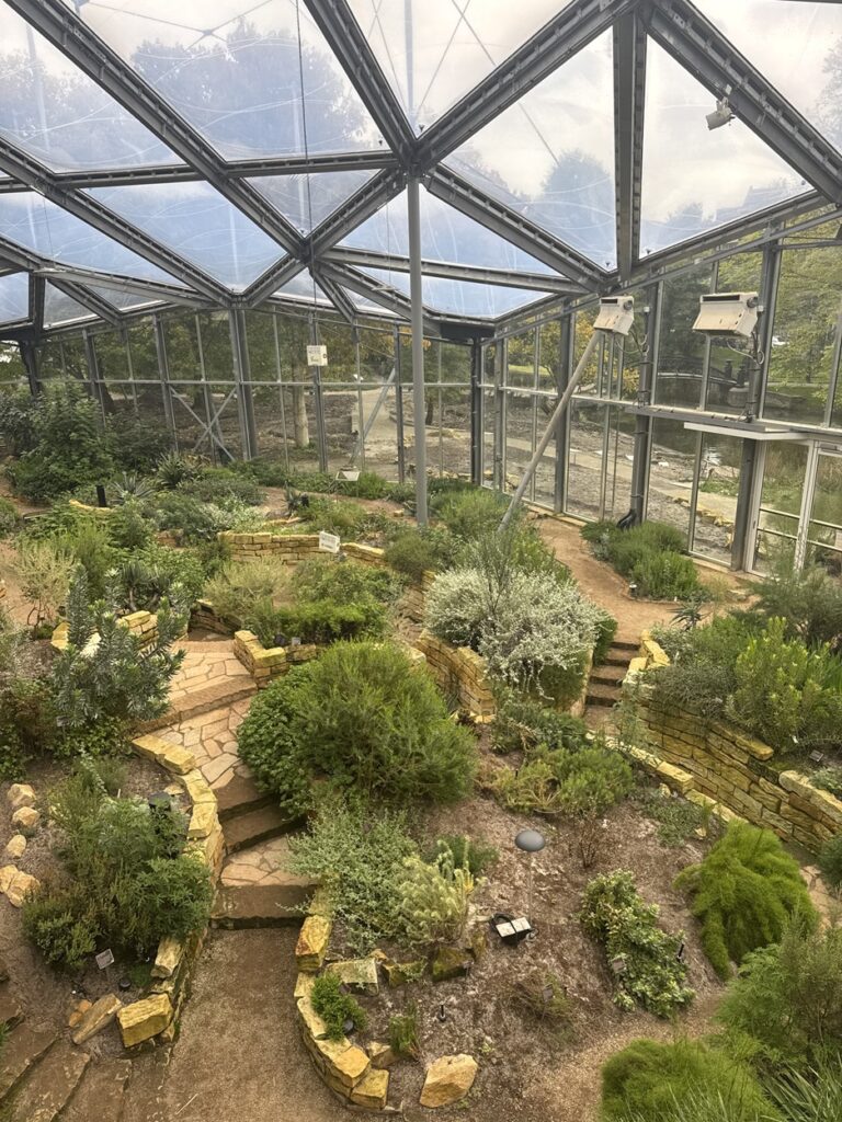 Greenhouse plants at the botanical garden in Amsterdam